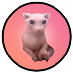My Beloved Animal