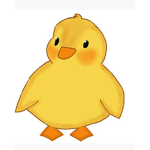 ducky raid