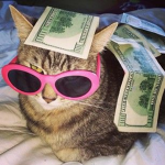 Kat GANG