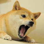 Doge’s Clothing Group
