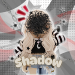 Shad0w_s group