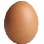 Egghead games