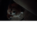 cream..<3
