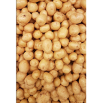 Potato respect