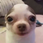 tendertalk