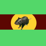 Democracy Of Rats!