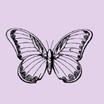 FAISHINY