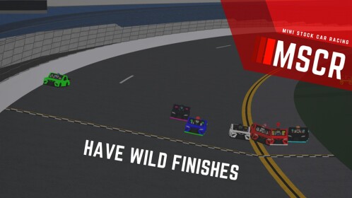 Mini Stock Car Racing
