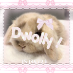 dolliii