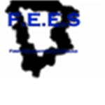F.E.E.S Rebels