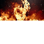 firey fans stuff