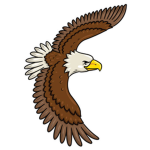 The Eagles FC