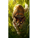 Warrior Cats Fan_Group