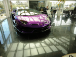 Porsche dumm