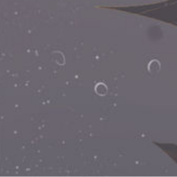✩