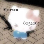 Meower