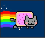 Nyan cats of Roblox