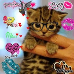 kittiescenes