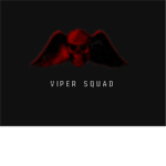 Viper Squadron 47th