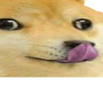 DoGeS oF tHe ElEmEnTs