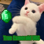 True Esmerald Clothes