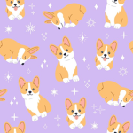 Cat and corgi