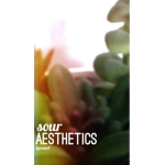 s o u r a e s t h e t I c s