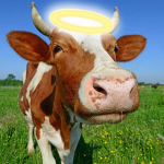 Holy Cow Community