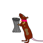 > . < trash rats > . <