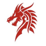 The Elite Dragon Soldiers