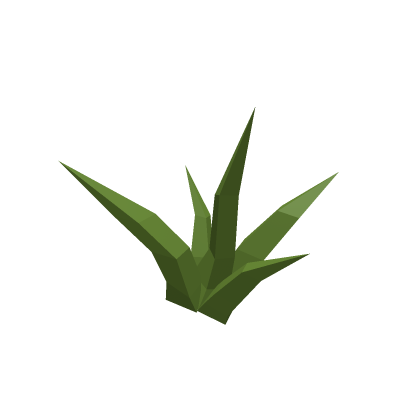 grass