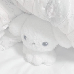꒰♡꒱