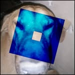 WIWITESTUDIO