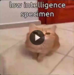 ForgeSCP