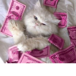CA$H BERR¥