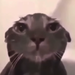 BeanoswithGuns