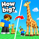 [🔥] Guess The Size!