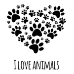 Loving animals <3