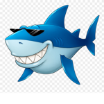 sharkey1119