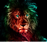 Team Animaux Que J'adore ;)