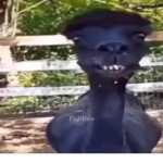 _da_gang
