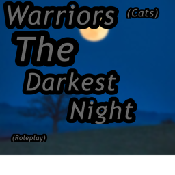 Warriors : The Darkest Nights
