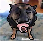 응가 poo