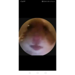 This is for robux join!