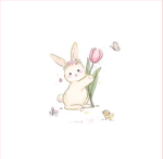 kithsღ
