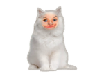 Abominable Experiences
