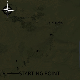 Dartmoor Plains