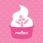 Yogurberry Frozen Yogurt®