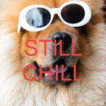 BIG CHILL :P
