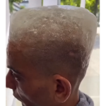 Yung Glaciers